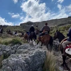 Cabalgata