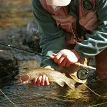 Pesca